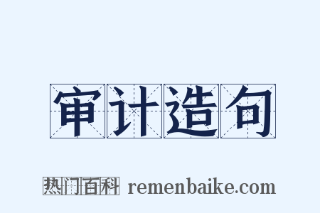 审计造句是什么意思的图片